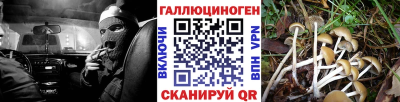 Псилоцибиновые грибы GOLDEN TEACHER Сарапул